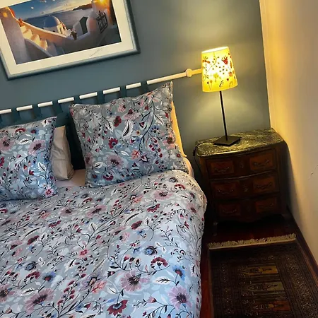 홈스테이 Incantevole E A Due Passi Dal Centro *